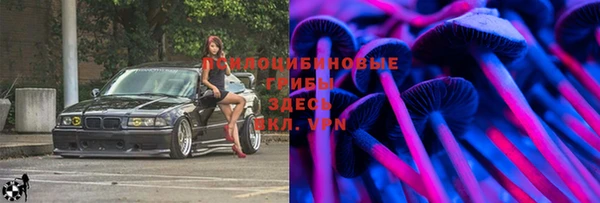 не бодяженный Алексин