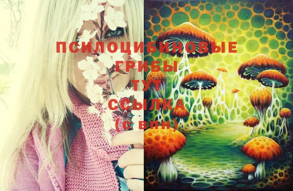 не бодяженный Алексин